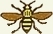 BeeSoft logo